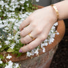 Crown Ring 18ct Yellow Gold Plated